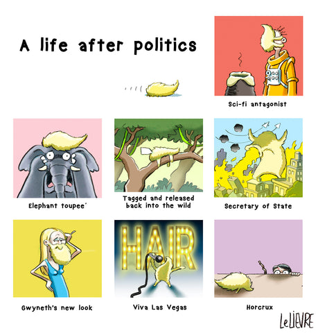 Life after politics
