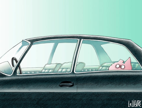 The passenger