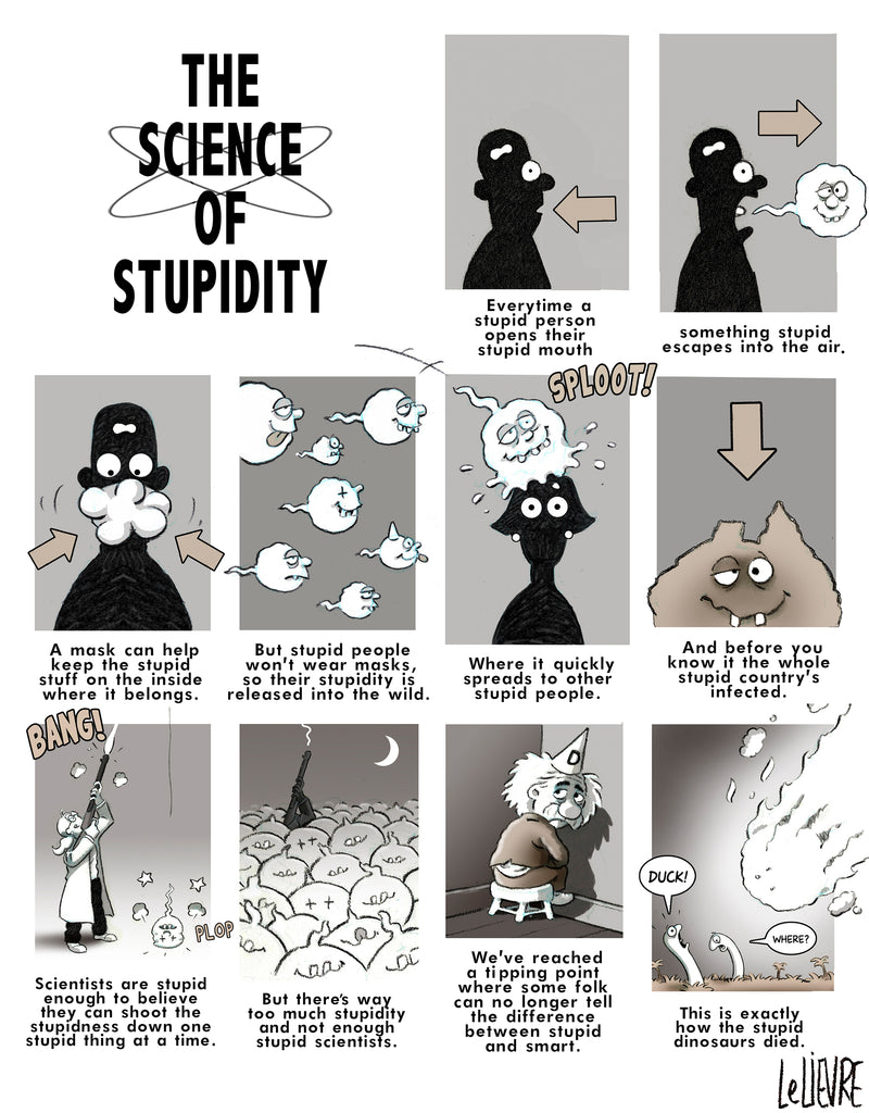 The science of stupidity